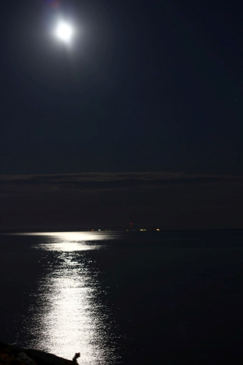 Луна над Обским морем